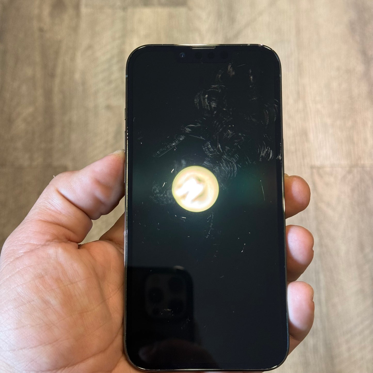 Factory Unlocked Apple iPhone 13 Pro 512GB Alpine Green MNDL3LL/A