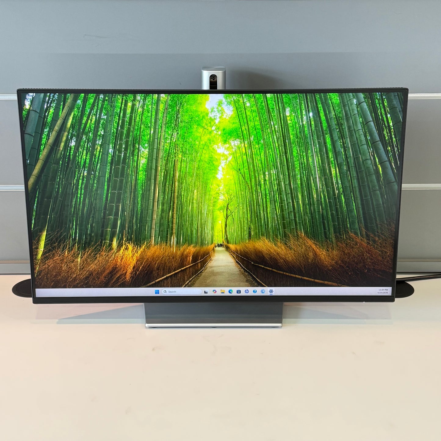 Dell P2425H 24" P2425HE FHD IPS 100Hz Display Monitor