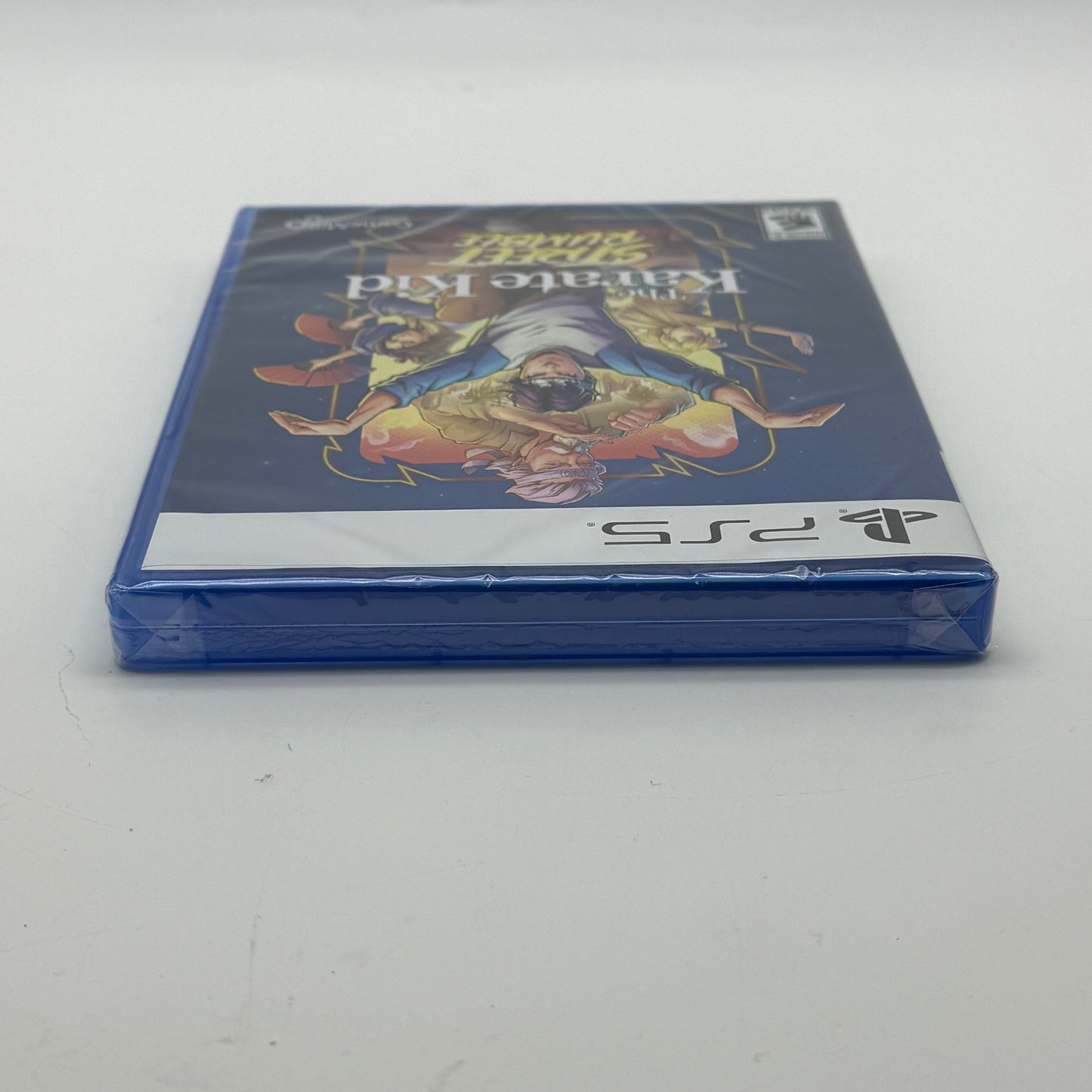 New The Karate Kid: Street Rumble (Sony PlayStation 5 PS5, 2024)